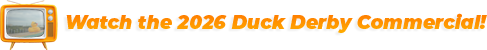 ddtvspot